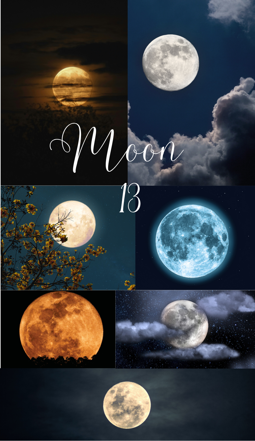 New World Oracle Cards & Guidebook