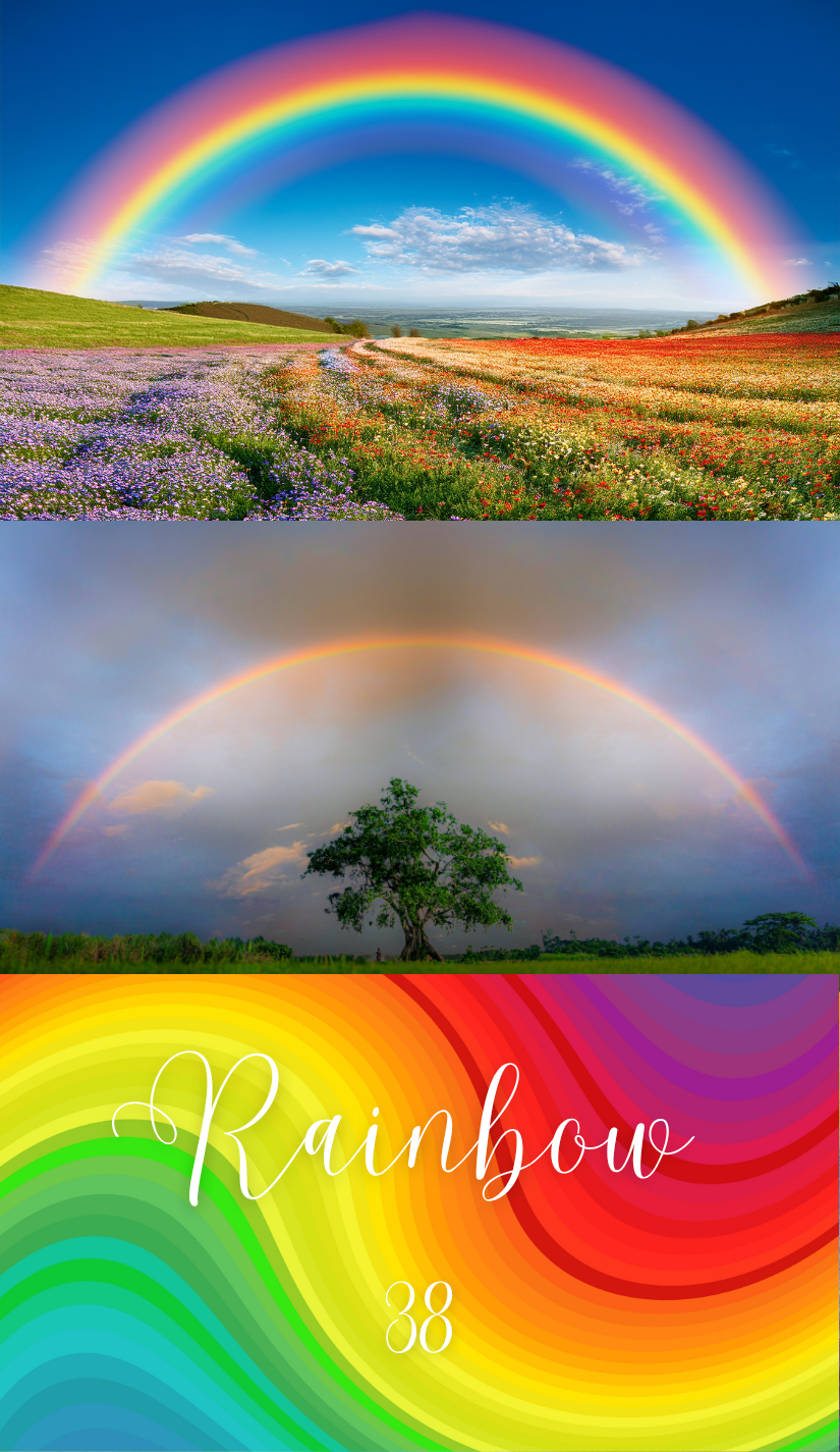 New World Oracle Cards & Guidebook