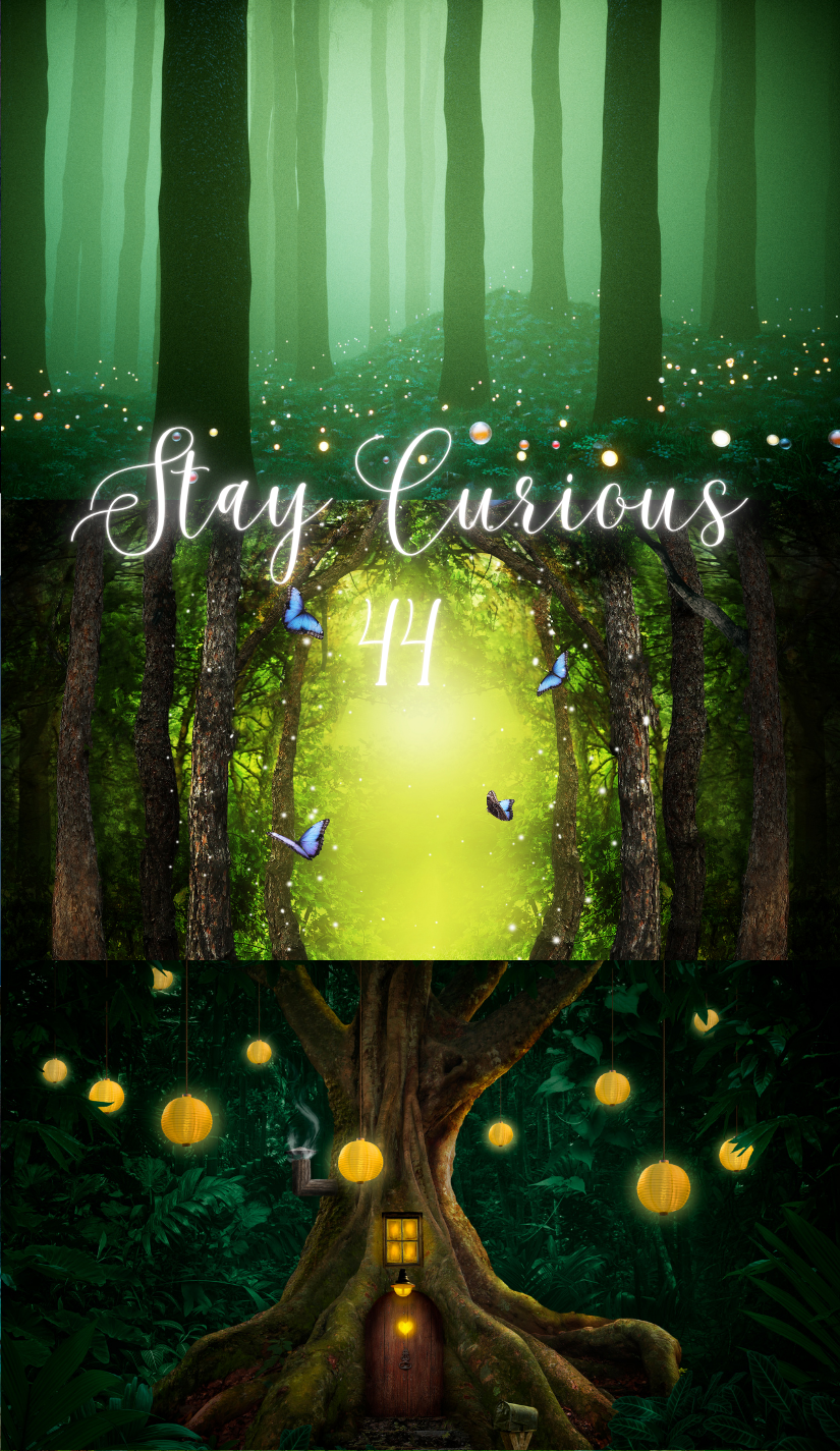 New World Oracle Cards & Guidebook