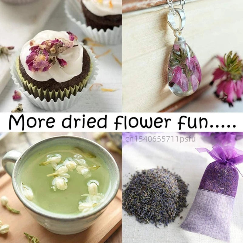 Premium Dry Flower